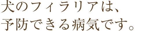 犬のフィラリアは、予防できる病気です。