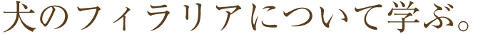 犬のフィラリアについて学ぶ。